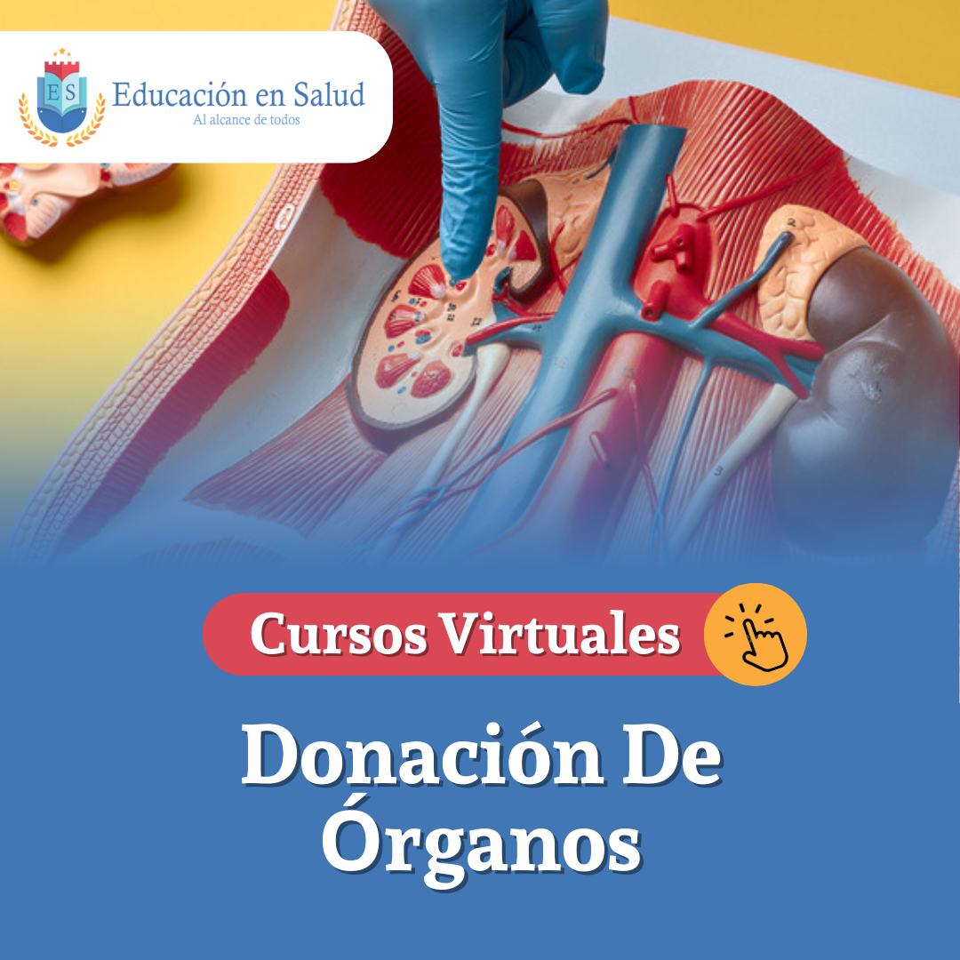 órganos 